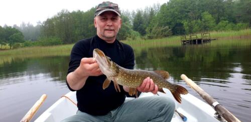 IMG-20200611-WA0003 (1)